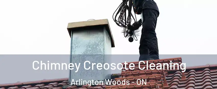  Chimney Creosote Cleaning Arlington Woods - ON