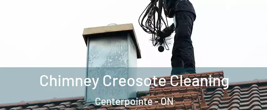  Chimney Creosote Cleaning Centerpointe - ON