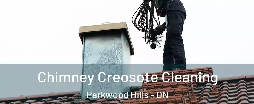  Chimney Creosote Cleaning Parkwood Hills - ON