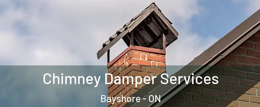  Chimney Damper Services Bayshore - ON