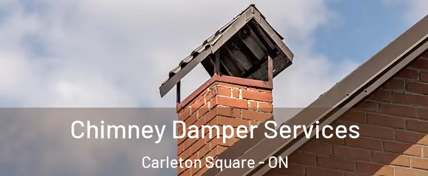  Chimney Damper Services Carleton Square - ON