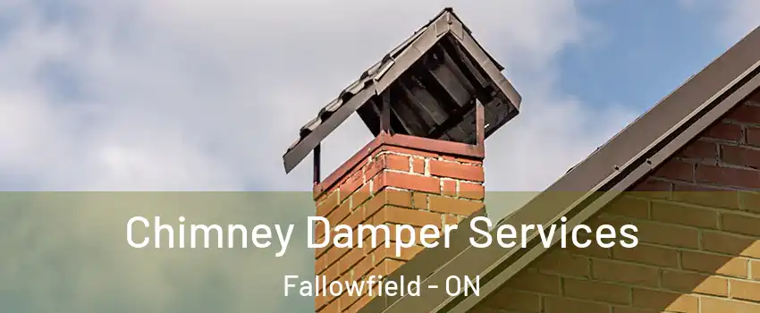  Chimney Damper Services Fallowfield - ON