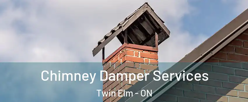  Chimney Damper Services Twin Elm - ON