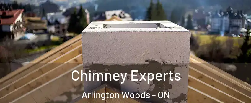  Chimney Experts Arlington Woods - ON