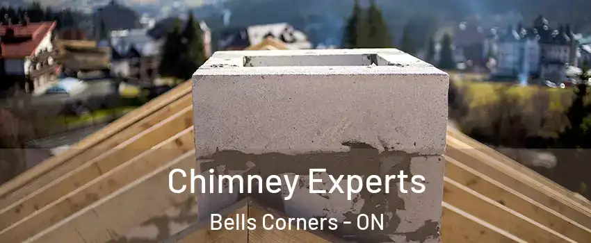 Chimney Experts Bells Corners - ON