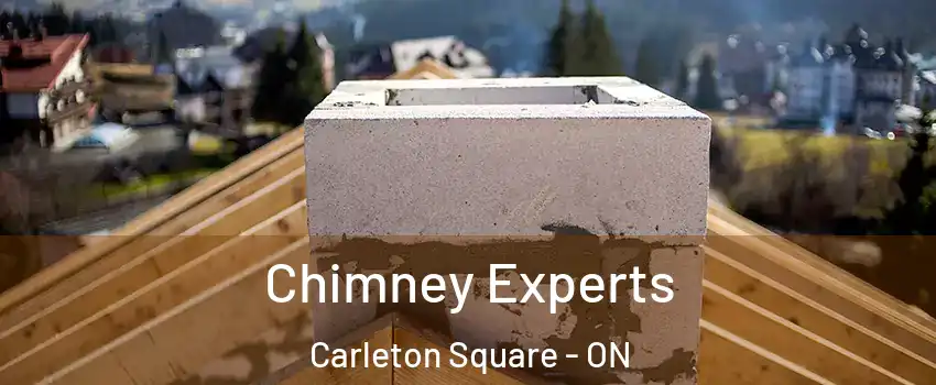  Chimney Experts Carleton Square - ON