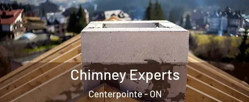  Chimney Experts Centerpointe - ON