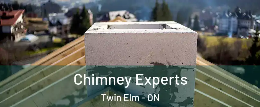  Chimney Experts Twin Elm - ON