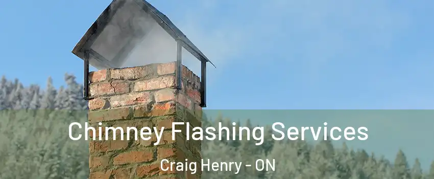 Chimney Flashing Services Craig Henry - ON