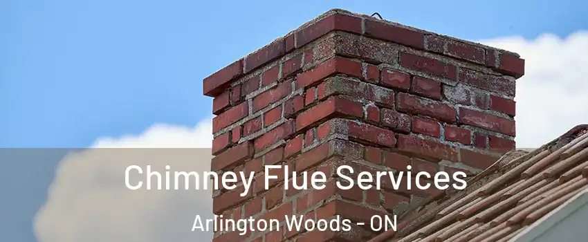  Chimney Flue Services Arlington Woods - ON
