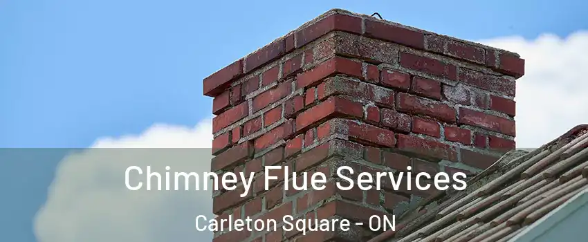  Chimney Flue Services Carleton Square - ON