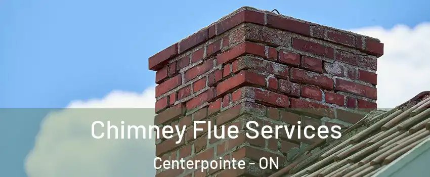  Chimney Flue Services Centerpointe - ON