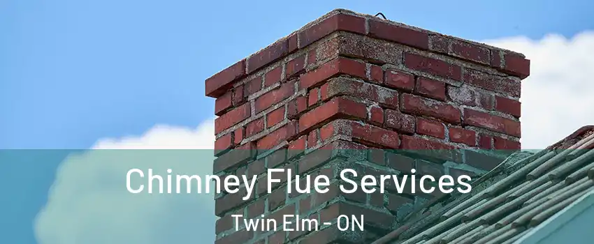  Chimney Flue Services Twin Elm - ON