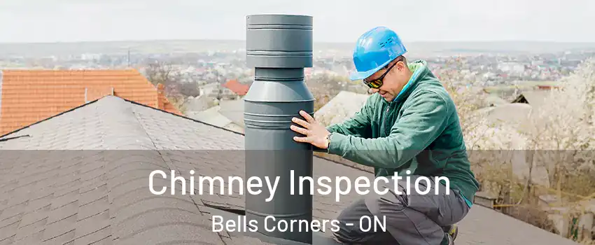  Chimney Inspection Bells Corners - ON
