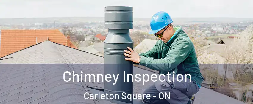  Chimney Inspection Carleton Square - ON