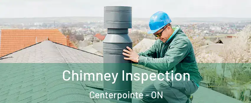  Chimney Inspection Centerpointe - ON