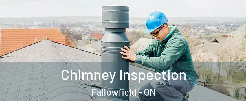  Chimney Inspection Fallowfield - ON