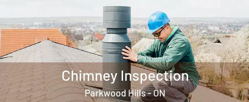  Chimney Inspection Parkwood Hills - ON