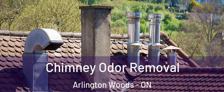  Chimney Odor Removal Arlington Woods - ON