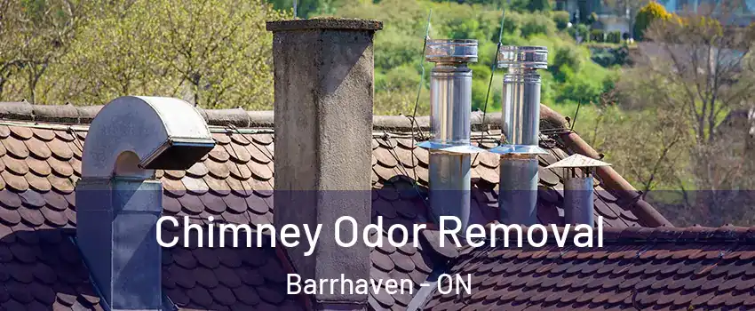  Chimney Odor Removal Barrhaven - ON