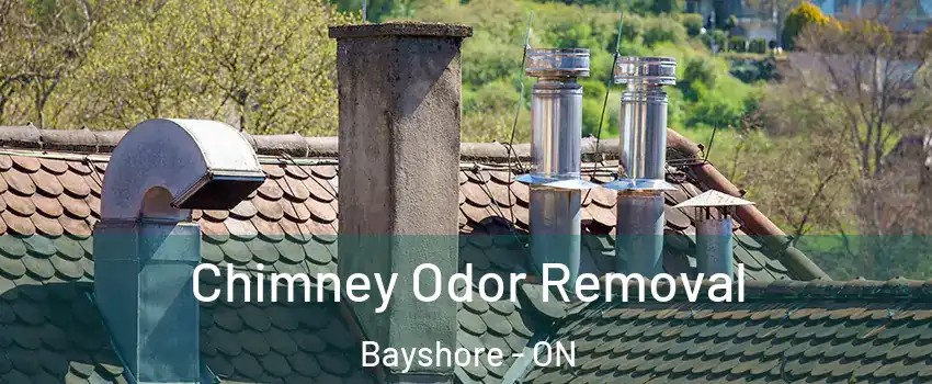  Chimney Odor Removal Bayshore - ON