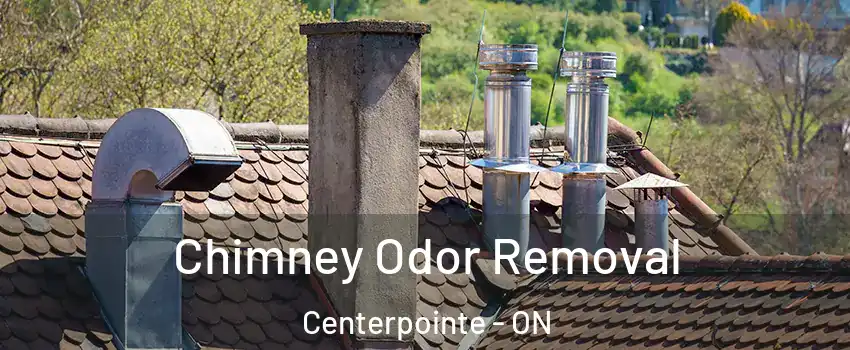  Chimney Odor Removal Centerpointe - ON