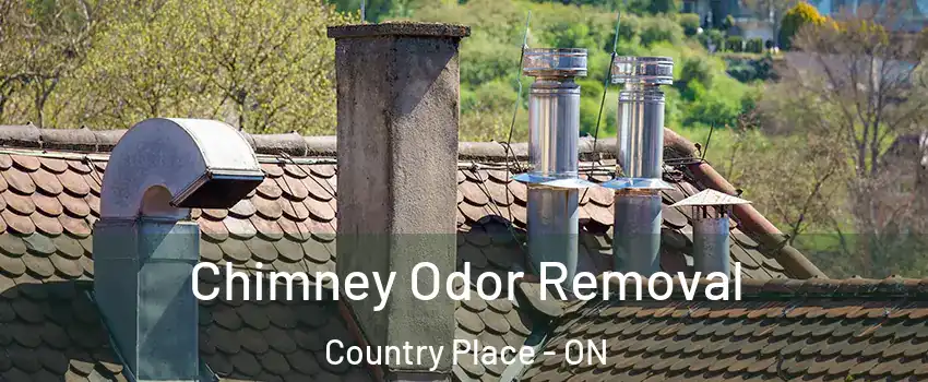  Chimney Odor Removal Country Place - ON