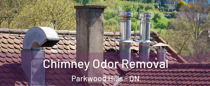  Chimney Odor Removal Parkwood Hills - ON