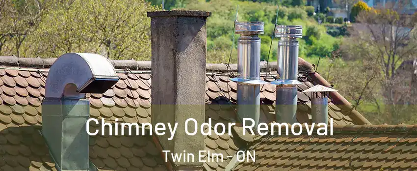  Chimney Odor Removal Twin Elm - ON