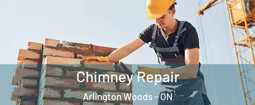  Chimney Repair Arlington Woods - ON