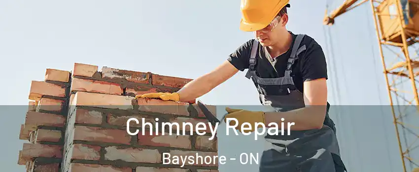  Chimney Repair Bayshore - ON