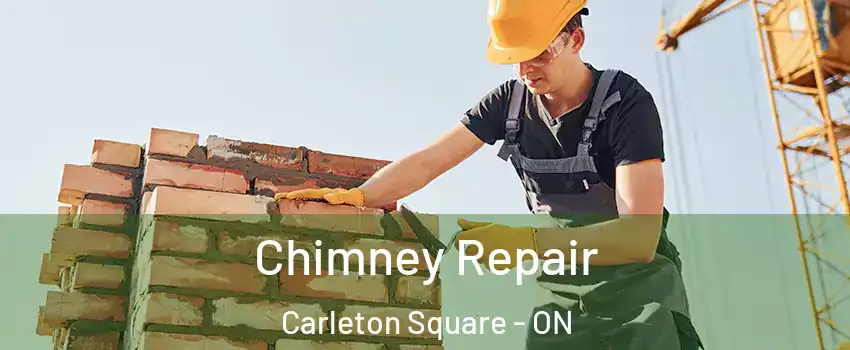  Chimney Repair Carleton Square - ON