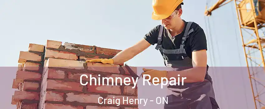  Chimney Repair Craig Henry - ON