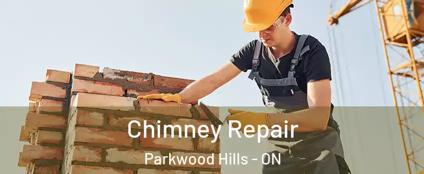  Chimney Repair Parkwood Hills - ON