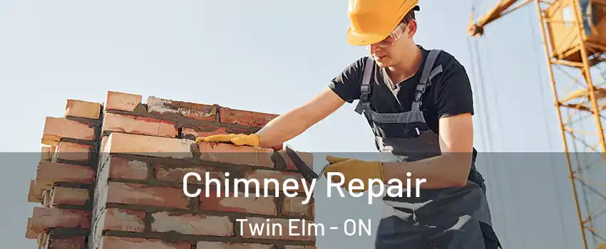  Chimney Repair Twin Elm - ON