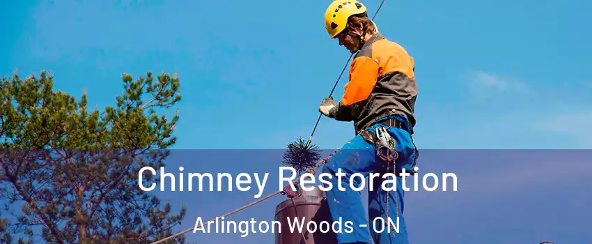  Chimney Restoration Arlington Woods - ON