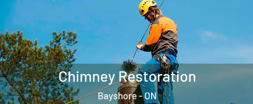 Chimney Restoration Bayshore - ON