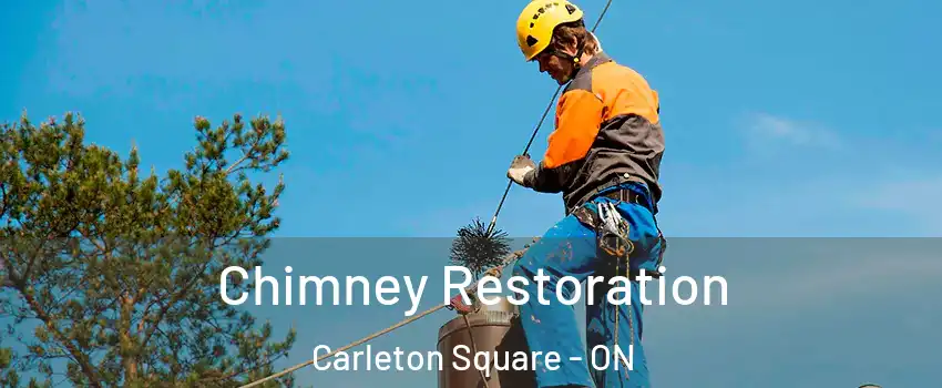  Chimney Restoration Carleton Square - ON