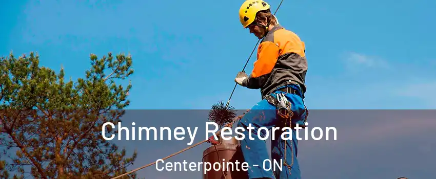  Chimney Restoration Centerpointe - ON