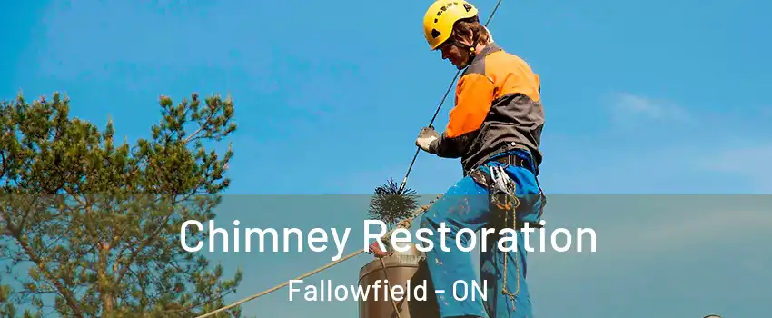  Chimney Restoration Fallowfield - ON