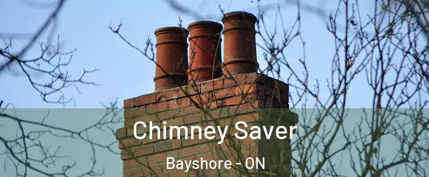 Chimney Saver Bayshore - ON