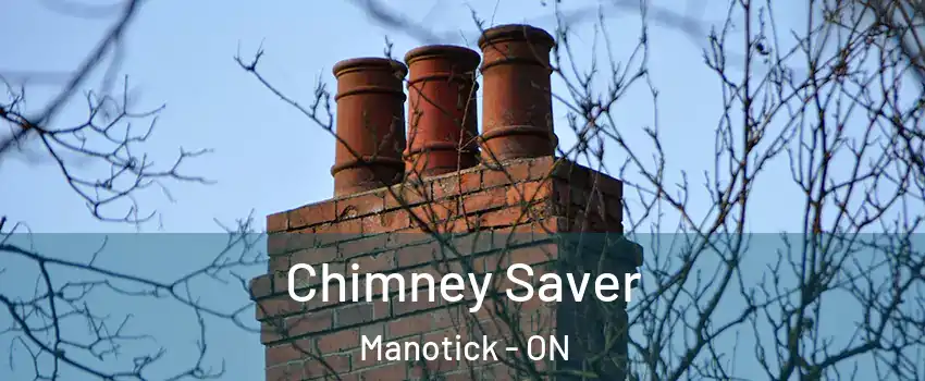  Chimney Saver Manotick - ON