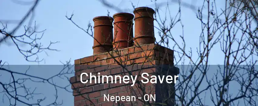  Chimney Saver Nepean - ON