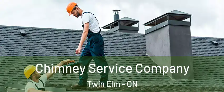  Chimney Service Company Twin Elm - ON