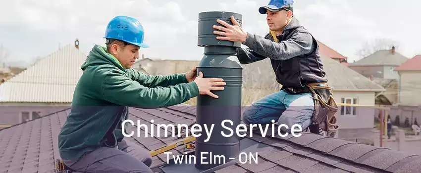  Chimney Service Twin Elm - ON