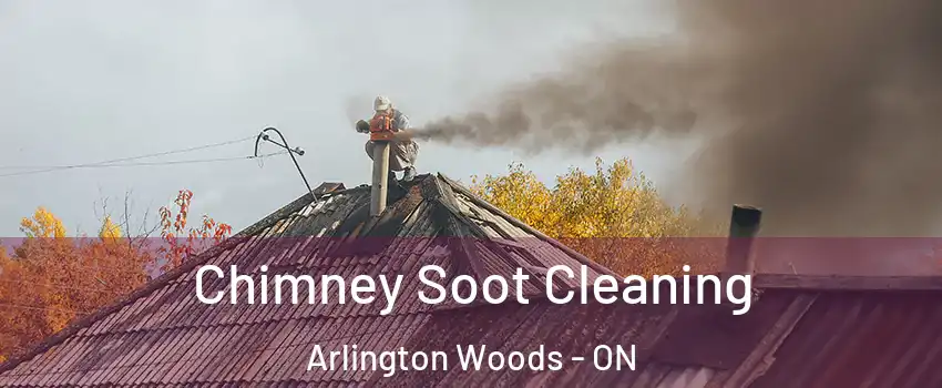  Chimney Soot Cleaning Arlington Woods - ON