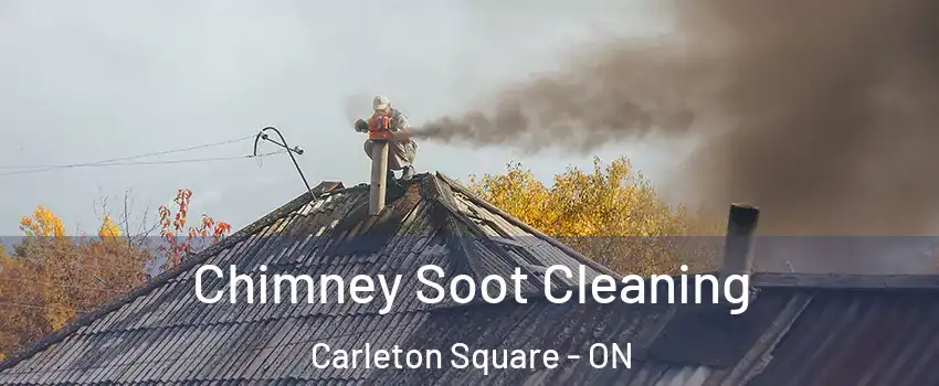  Chimney Soot Cleaning Carleton Square - ON