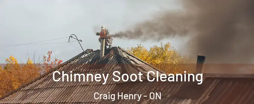  Chimney Soot Cleaning Craig Henry - ON