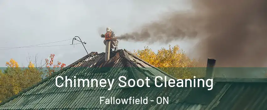  Chimney Soot Cleaning Fallowfield - ON