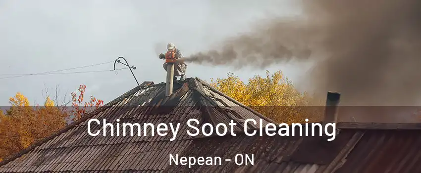  Chimney Soot Cleaning Nepean - ON